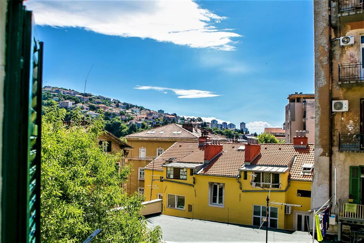 Apartment Alegra Center