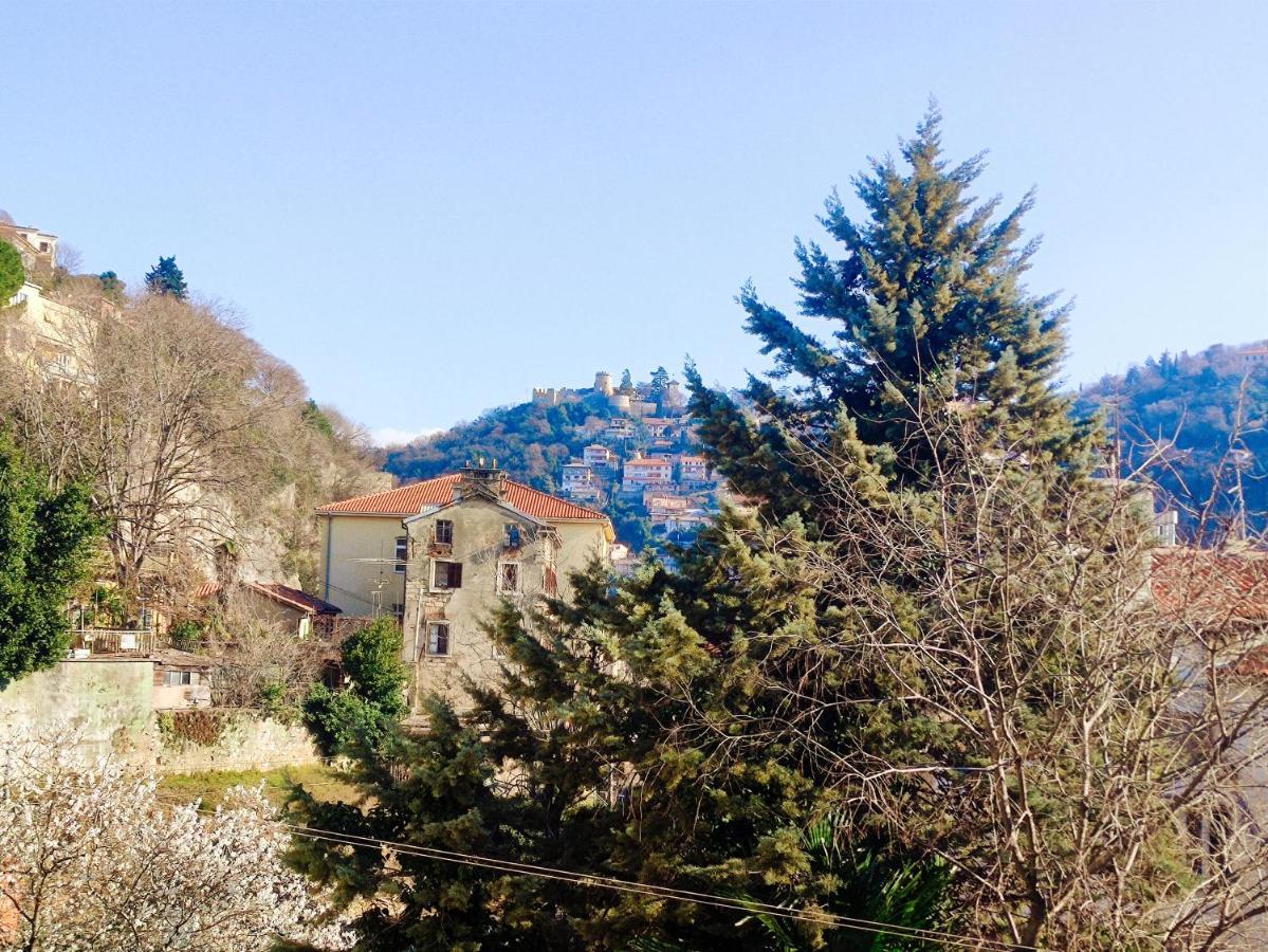 Alegra Center Apartament